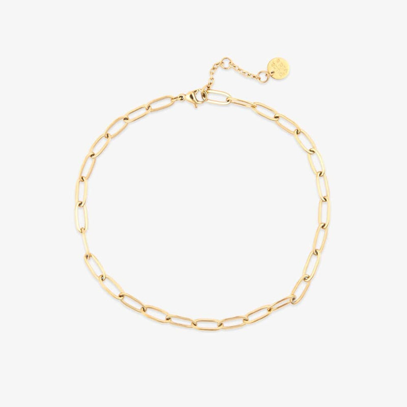 Gold chain anklet on a white background