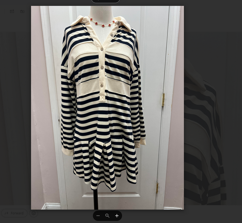Shannon Striped Mini Dress