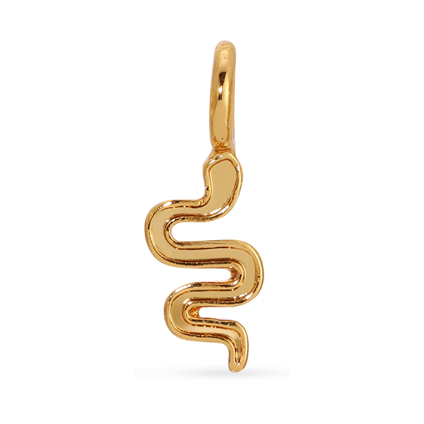 Front view of the gold snake charm by itself. Shows the snake detail. 