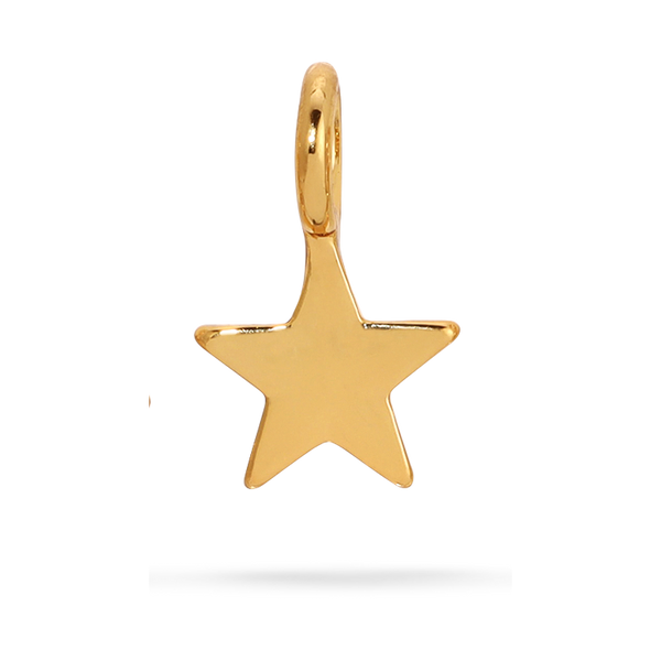 Front view of gold star charm by itself. Shows the gold star charm.