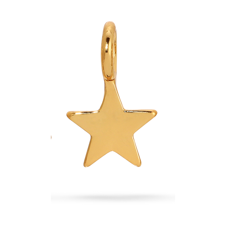 Front view of gold star charm by itself. Shows the gold star charm.