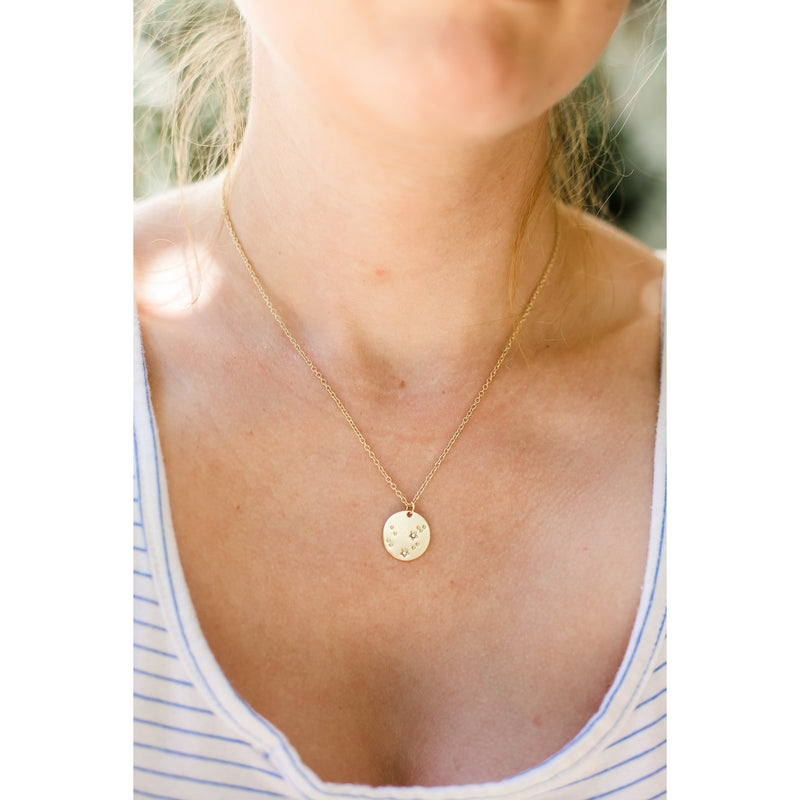 Lucky Feather Zodiac Necklace - Aquarius