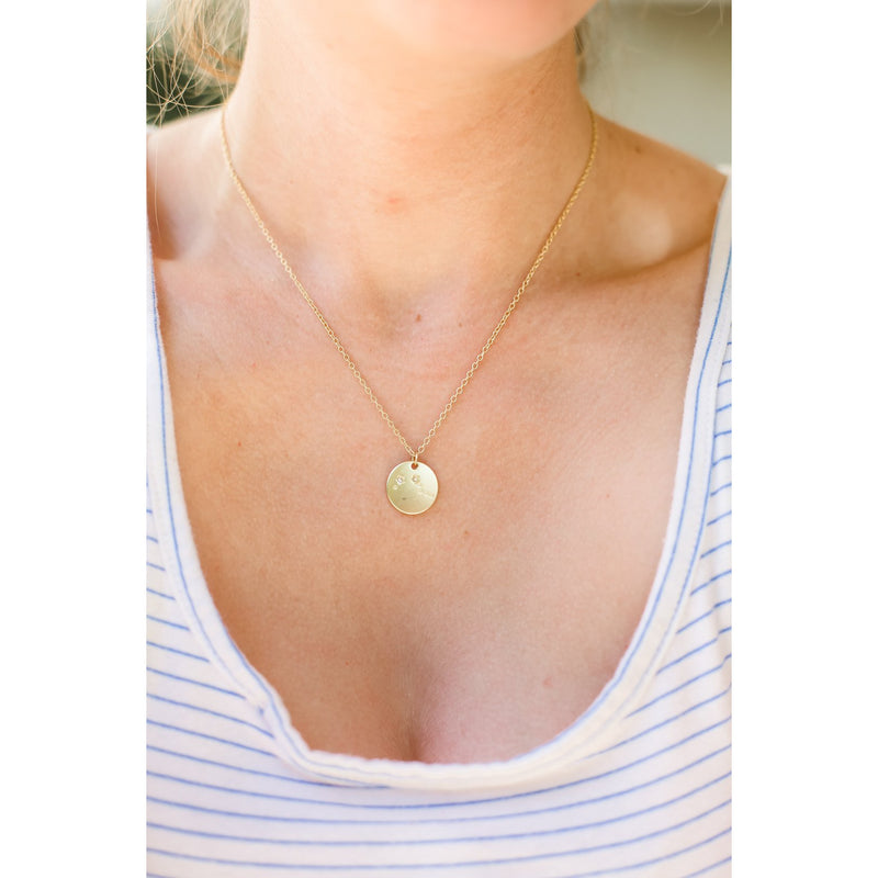 Lucky Feather Zodiac Necklace - Aries